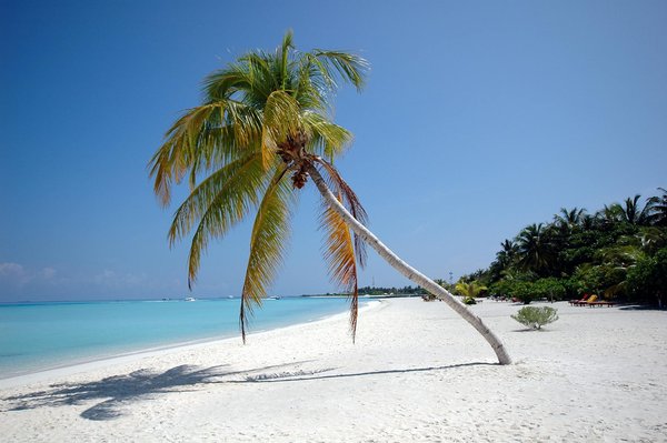 Top hôtels à découvrir dans le 17ème arrondissement de paris