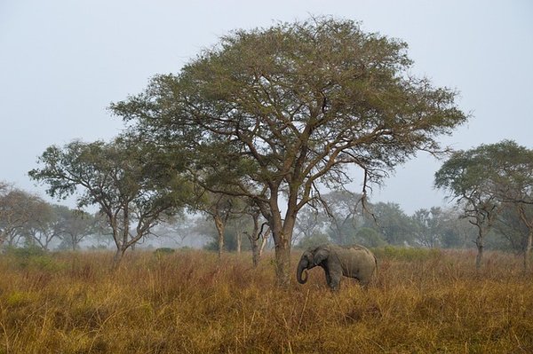 Tourisme équitable en afrique : voyagez de manière responsable